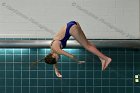 Women's Diving  Wheaton College Women’s Diving vs Mount Holyoke College. - Photo by Keith Nordstrom : Wheaton, Swimming & Diving